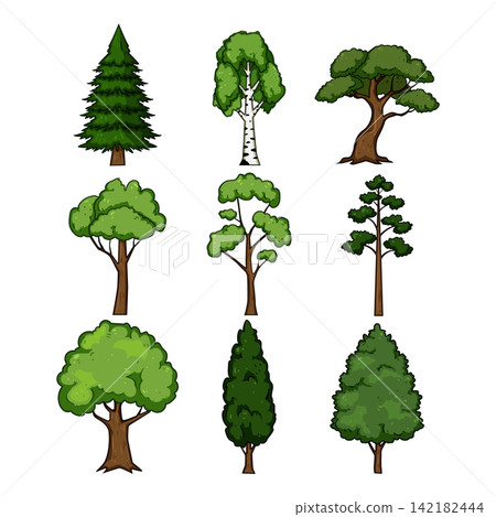 Diverse collection of cartoon trees illustration Diverse collection of cartoon trees illustration 142182444