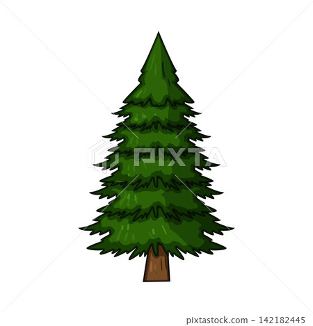 Green spruce tree standing illustration on white background Green spruce tree standing illustration on white background 142182445
