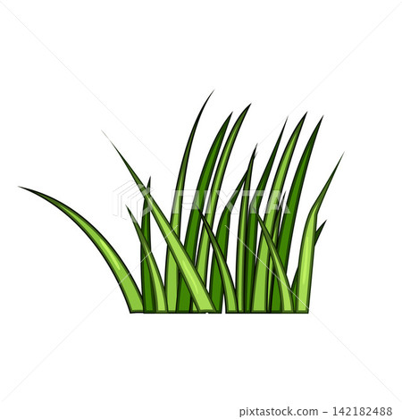 Green grass growth isolated on white background Green grass growth isolated on white background 142182488