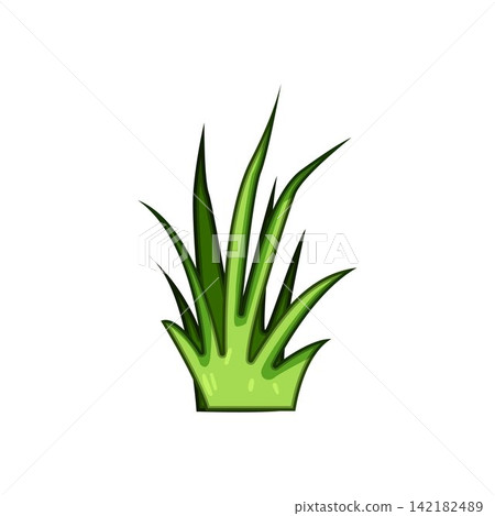 Green grass clump growing vector illustration Green grass clump growing vector illustration 142182489