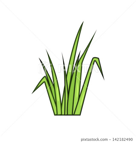 Green grass growing from ground simple cartoon Green grass growing from ground simple cartoon 142182490