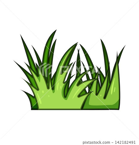 Green grass clump growing in nature concept Green grass clump growing in nature concept 142182491