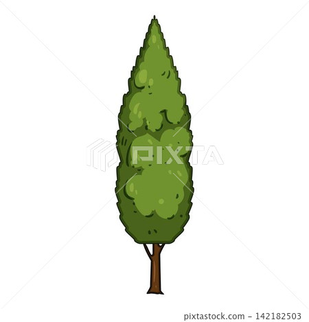 Green tall slender tree growing upward illustration Green tall slender tree growing upward illustration 142182503
