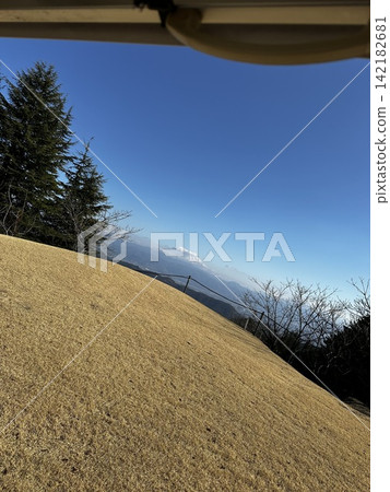 冬天藍天和落葉松屬森林 冬天藍天和落葉松屬森林 142182681