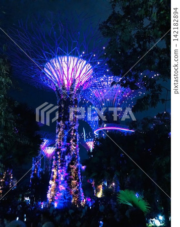 濱海灣花園燈光秀 濱海灣花園燈光秀 142182894