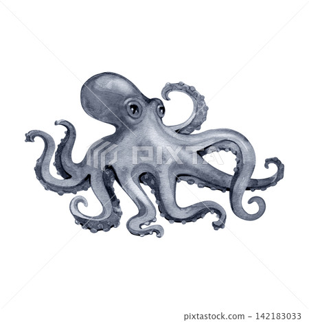Watercolor grey octopus with curling tentacles in deep navy tones Watercolor grey octopus with curling tentacles in deep navy tones 142183033