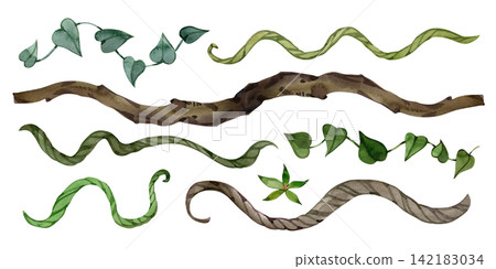Watercolor tropical jungle vines branches and driftwood horizontal border collection set Watercolor tropical jungle vines branches and driftwood horizontal border collection set 142183034