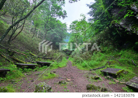 駱込湖、徠湖、健行徑和琴峠附近的風景。 駱込湖、徠湖、健行徑和琴峠附近的風景。 142183076