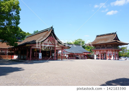 對馬神社:參拜殿及天守閣1(重要文化財產) 對馬神社:參拜殿及天守閣1(重要文化財產) 142183390