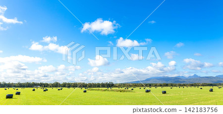 A scene of rolled silage lying in the fields around Nakashibetsu under a clear blue sky. A scene of rolled silage lying in the fields around Nakashibetsu under a clear blue sky. 142183756