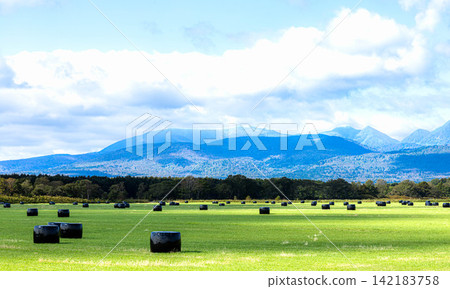 A scene of rolled silage lying in the fields around Nakashibetsu under a clear blue sky. A scene of rolled silage lying in the fields around Nakashibetsu under a clear blue sky. 142183758