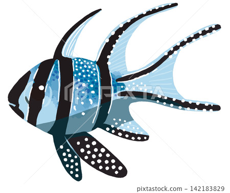 邦蓋豚鯛插圖 - 熱帶魚/海水魚素材 邦蓋豚鯛插圖 - 熱帶魚/海水魚素材 142183829