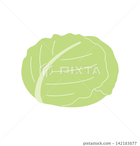 簡單可愛的捲心菜向量圖 簡單可愛的捲心菜向量圖 142183877