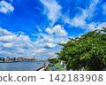 View of the Nakagawa River from the Nakagawa Promenade 142183908
