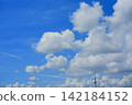 Scenery with sky tree 142184152
