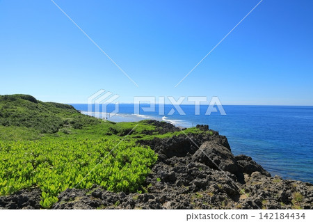 沖繩島最北端邊戶岬崎嶇的海岸線風景。 沖繩島最北端邊戶岬崎嶇的海岸線風景。 142184434