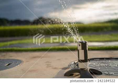夕陽西下,灑水器噴出的水花閃閃發光。 夕陽西下,灑水器噴出的水花閃閃發光。 142184522