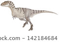Bistahieversor: An artist's impression of a tyrannosauroid dinosaur that lived in North America during the Late Cretaceous period. Bistahieversor: An artist's impression of a tyrannosauroid dinosaur that lived in North America during the Late Cretaceous period. 142184684