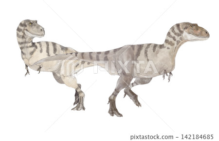 Bistahieversor: An artist's impression of a tyrannosauroid dinosaur that lived in North America during the Late Cretaceous period. Bistahieversor: An artist's impression of a tyrannosauroid dinosaur that lived in North America during the Late Cretaceous period. 142184685