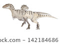 Bistahieversor: An artist's impression of a tyrannosauroid dinosaur that lived in North America during the Late Cretaceous period. Bistahieversor: An artist's impression of a tyrannosauroid dinosaur that lived in North America during the Late Cretaceous period. 142184686