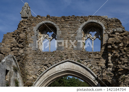 Ruins of Kirkham Priory on the banks of the River Derwent, at Kirkham, North Yorkshire, England Ruins of Kirkham Priory on the banks of the River Derwent, at Kirkham, North Yorkshire, England 142184704