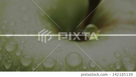 Showing green apple top and stem glistening in macro close-up, with droplets and white line Showing green apple top and stem glistening in macro close-up, with droplets and white line 142185139