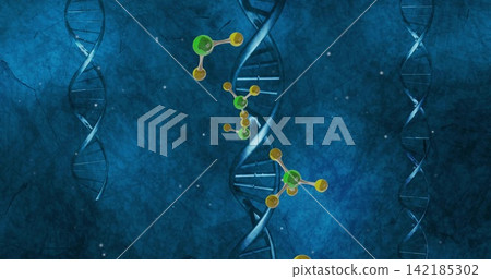 Showing central DNA helix rising in textured blue, with faint side helices and molecular models. Genetics, genomics, biochemistry, biotechnology, abstract, vector, illustration Showing central DNA helix rising in textured blue, with faint side helices and molecular models. Genetics, genomics, biochemistry, biotechnology, abstract, vector, illustration 142185302