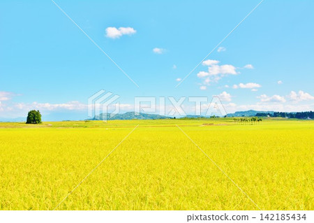 肥沃的鄉村 肥沃的鄉村 142185434