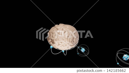 Floating 3D anatomical beige brain hovering in black void, with cyan nodes and atom clusters Floating 3D anatomical beige brain hovering in black void, with cyan nodes and atom clusters 142185662
