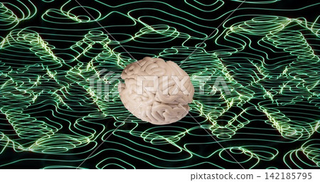 Floating pale beige anatomical brain model hovering above black void, with neon green contour grid. Neural, visualization, abstract, futuristic, digital, luminescent, emerald Floating pale beige anatomical brain model hovering above black void, with neon green contour grid. Neural, visualization, abstract, futuristic, digital, luminescent, emerald 142185795