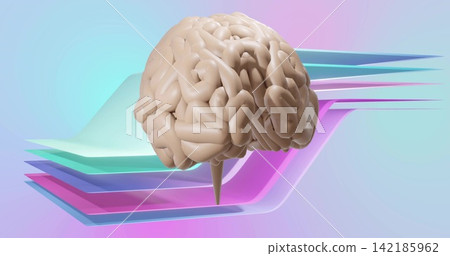 Floating stylized brain hovering over abstract studio, with tapered brainstem and pastel panels Floating stylized brain hovering over abstract studio, with tapered brainstem and pastel panels 142185962