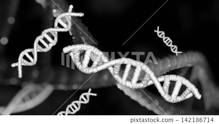 Showing large DNA double helix in dark field, with beaded spine, rungs, small helices, light spots Showing large DNA double helix in dark field, with beaded spine, rungs, small helices, light spots 142186714