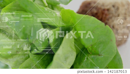 Displaying large green lettuce leaf showing droplets on white plate, HUD overlays, blurred mushroom Displaying large green lettuce leaf showing droplets on white plate, HUD overlays, blurred mushroom 142187013