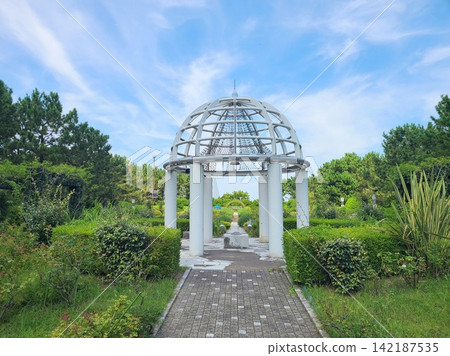 A white gazebo in the rose garden of the park, against a blue sky (copy space) A white gazebo in the rose garden of the park, against a blue sky (copy space) 142187535