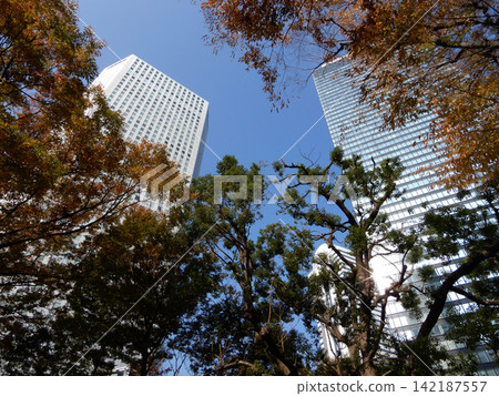 The skyscrapers of Nishi-Shinjuku stand against a backdrop of autumn-colored street trees and a blue sky. The skyscrapers of Nishi-Shinjuku stand against a backdrop of autumn-colored street trees and a blue sky. 142187557