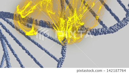 Showing dark blue double helix bead strands with round nodes on gray backdrop, glowing yellow cloud Showing dark blue double helix bead strands with round nodes on gray backdrop, glowing yellow cloud 142187764
