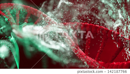 Displaying red DNA helix glowing and twisting in dark studio void, with green strand Displaying red DNA helix glowing and twisting in dark studio void, with green strand 142187766