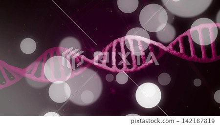 Displaying double-helix DNA stretching across purple backdrop, with bokeh orbs, specks, filaments Displaying double-helix DNA stretching across purple backdrop, with bokeh orbs, specks, filaments 142187819