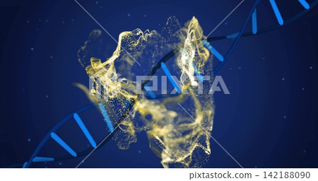 Swirling blue DNA helix running across deep navy backdrop with golden ribbon, cyan rungs, lights Swirling blue DNA helix running across deep navy backdrop with golden ribbon, cyan rungs, lights 142188090