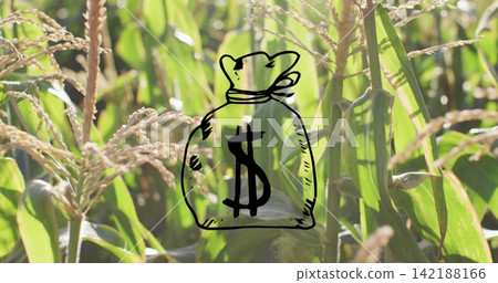 Showing black hand drawn money bag with dollar sign overlaying cornfield, with ears silks tassels Showing black hand drawn money bag with dollar sign overlaying cornfield, with ears silks tassels 142188166