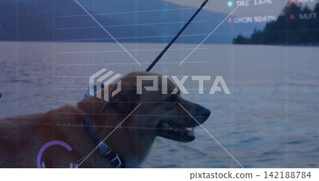 Standing brown dog wearing blue collar and harness on boat edge, showing tether, clip, HUD overlay Standing brown dog wearing blue collar and harness on boat edge, showing tether, clip, HUD overlay 142188784