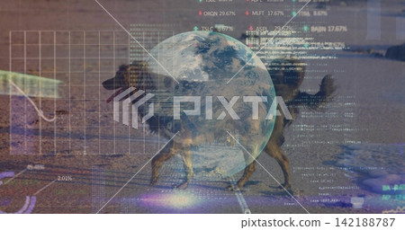 Walking medium-sized dog pacing wet sand near shallow waterline, showing globe, grid, charts, code Walking medium-sized dog pacing wet sand near shallow waterline, showing globe, grid, charts, code 142188787