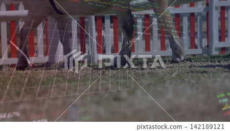 Moving two horses' hooves striding across turf paddock by red picket fence, with financial overlay Moving two horses' hooves striding across turf paddock by red picket fence, with financial overlay 142189121