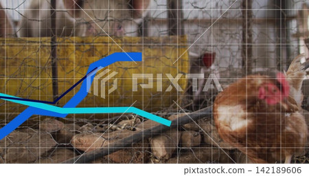Perching brown hen pecking straw in coop, showing wire mesh yellow feeder, grid, chart, copy space Perching brown hen pecking straw in coop, showing wire mesh yellow feeder, grid, chart, copy space 142189606