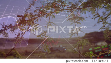 Displaying pinnate branches occupying mid-foreground in rural field, with HUD overlays Displaying pinnate branches occupying mid-foreground in rural field, with HUD overlays 142189651