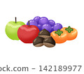 Autumn fruit illustration 142189977