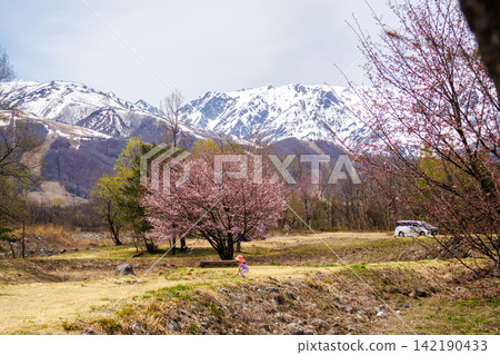 春意盎然的白馬村景色 春意盎然的白馬村景色 142190433