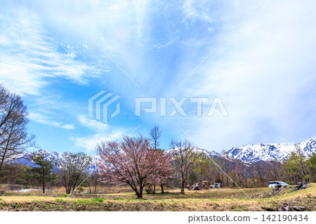 春意盎然的白馬村景色 142190434