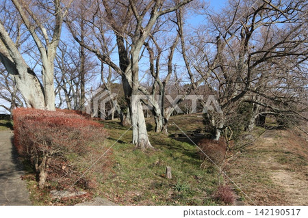 2014年,香川縣三豐市,風景,拓真町,紫雲出山,第86部分 2014年,香川縣三豐市,風景,拓真町,紫雲出山,第86部分 142190517