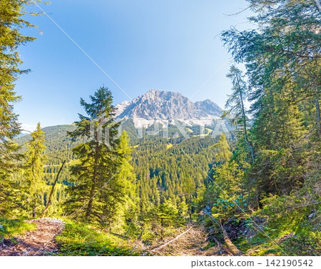 Zugspitze massif seen through alpine forest in summer Zugspitze massif seen through alpine forest in summer 142190542